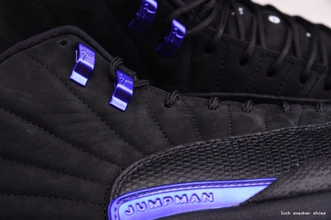 Rep LUCY Retro 12 CT8013 'Dark Jordan 005 Air Concord' 0722